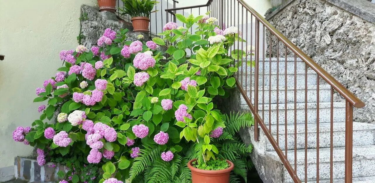 Bed & Breakfast B&B Il Poggio Salo